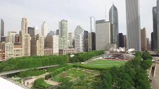 Seadog Chicago River and Lake Architectural Tour at Navy Pier [upl. by Gilemette15]