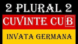 Invata Germana  PLURALUL SUBSTANTIVELOR  Lectia 2  cuvinte cu B [upl. by Fabe434]