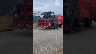 First in poland😍🔥dewulf 4rows harvester carrot vagetable dcviral tt fyp agriculture john [upl. by Edveh]