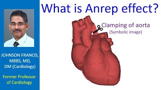 What is Anrep effect [upl. by Buroker828]