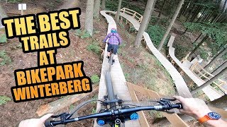 THE 3 BEST MTB TRAILS AT BIKEPARK WINTERBERG [upl. by Htnamas]