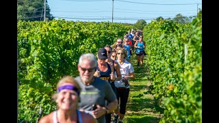 2023 Westport Wine Run FAQs [upl. by Acirretal]