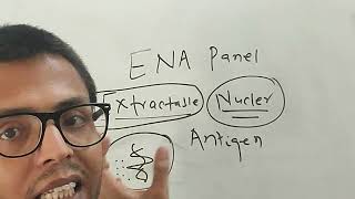 what is ENA panel test what is extractable nuclear antigen panel test [upl. by Tamra328]