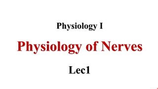 Physiology Of Nerve Lec1 Physiology I [upl. by Vivyan263]