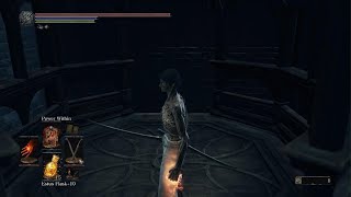 Lothric amp Lorian the Twin Princes  Ng4  No Hits Taken [upl. by Cadal]