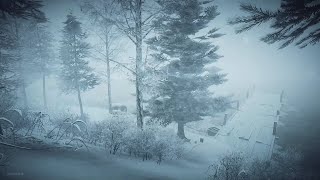 Intense Winter Storm at the Lake┇Howling Wind amp Blowing Snow ┇Sounds for Sleep Study amp Relaxation [upl. by Abbottson]