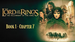 Lord Of The Rings Audiobook  Chapter 7 [upl. by Eelirol]