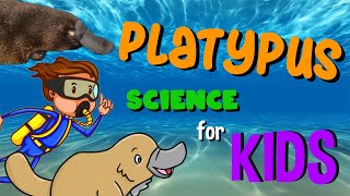 Platypus  Science for Kids [upl. by Anirav738]