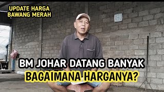 BM JOHAR DATANG BANYAK BAGAIMANA DENGAN HARGANYA  UPDATE HARGA BAWANG MERAH BJM CHANNEL [upl. by Arnulfo627]