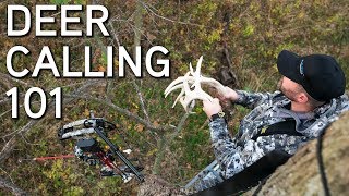 Deer Calling Tips  Rattling and Grunting To Bucks [upl. by Edric]