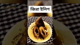 জিরে ইলিশ  Hilsa Recipe recipe recipe cooking easyrecipe youtubeshorts shorts fish [upl. by Eelloh]