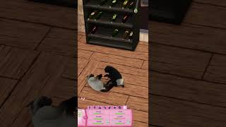 Cats in The Sims 3 are too cute sims3 [upl. by Nauaj]