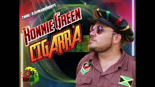 MELÔ DA CIGARRA  NA VOZ DELE RONNIE GREEN E UM SHOW DE PEDRA 🪨🪨 👉🏿 JÁ DEIXE SEU LIKE E INSCREVASE [upl. by Bithia974]