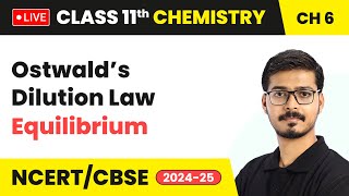 Ostwald’s Dilution Law  Equilibrium  Class 11 Chemistry Chapter 6  CBSE 202425 live [upl. by Eph]