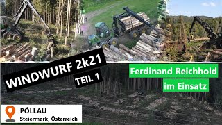 WINDWURF 2k21 Teil 1 Aufräumarbeiten mit Harvester amp Forwarder  Landtechnik Murtal [upl. by Tyre659]