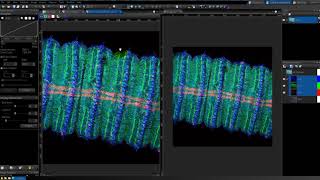 Confocal image vs Deconvolution how to save z projection image using CellSens D [upl. by Travus]