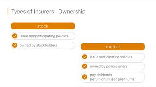 Types of Insurers [upl. by Aimit]