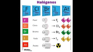 VIDEO  Trabajo Práctico Halógenos [upl. by Yesac475]