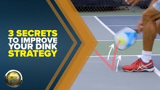 3 Secrets to Improve Your Dinking Strategy with Steve Dawson  Pickleball 411 [upl. by Ahron]