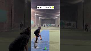 Pace Quality Bowling Unleashed 🔥 2 Wickets Cricket Over Changed The Match 🎯 cricket shorts [upl. by Anelleh]