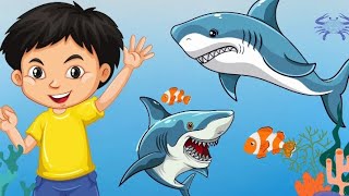 Baby shark  Great white shark kids song Shark names kids song animation cartoon [upl. by Macknair]