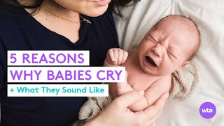 5 Basic Reasons Why Babies Cry What They Sound Like and What They Mean  What to Expect [upl. by Fremont]