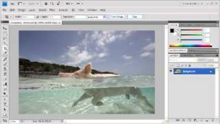 34 Cropping to a Specific Size Adobe Photoshop CS4 Video [upl. by Rusticus]