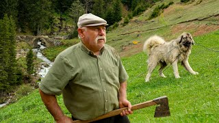 Küçük Ağanın Yayla Göçü  Belgesel Film [upl. by Eldwon]