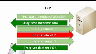 TCP and UDP [upl. by Onej]