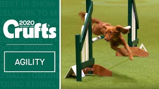 Agility  Championship Final  Crufts 2020 [upl. by Monson]