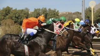 Tucsons Rillito Park  Horse Races [upl. by Alin]