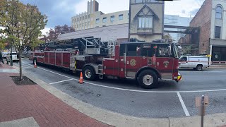 HFDHPDWCSO And More At The Mummers Parade [upl. by Ailla]