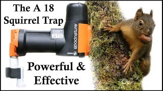 The A18 Squirrel Destroyer  A Powerful amp Effective CO2 Squirrel Trap  Mousetrap Monday [upl. by Feldt]