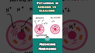 Potassium levels in Acidosis vs Alkalosis  Hypokalemia vs Hyperkalemia NEET PGNCLEX INICETUSMLE [upl. by Polk]