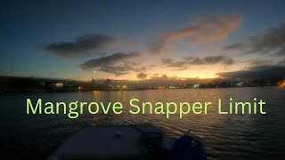 Florida Saltwater Fishing  Florida Keys Fishing  Mangrove Snapper fishing [upl. by Shanks]