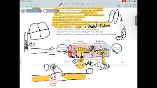 CAPILLARY FLUID EXCHANGE [upl. by Curkell]