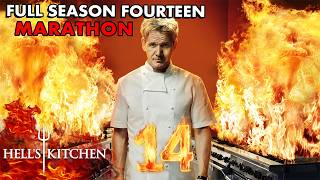 SO MANY Iconic Hells Kitchen Moments  Full Season 14 Marathon [upl. by Kahn652]