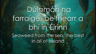 Dúlamán  LYRICS  Translation  Celtic Woman [upl. by Lawlor]