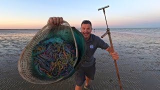 How to collect Lugworm  A simple effective method to SAVE Money and catch fish more Fish [upl. by Orms]