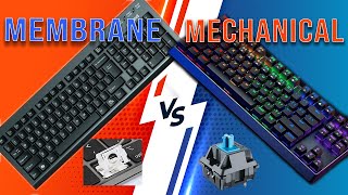 Mechanical Keyboard VS Membrane Keyboard [upl. by Anthia635]