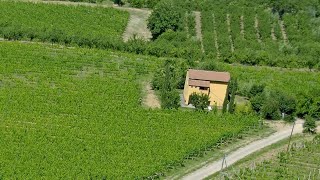 Agriturismo Nobile Montepulciano Italy [upl. by Lehcsreh]