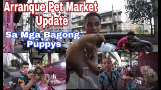 Arranque Pet Market Update [upl. by Tilagram]