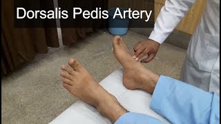 Dorsalis Pedis Artery Clinical Examination [upl. by Huntley]