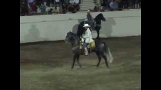 Caballos Bailadores Feria Ganadera Culiacan [upl. by Jat]