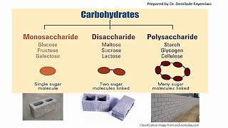 Chapter 21 Biological Molecules  Carbohydrates [upl. by Anierdna363]