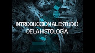 Tejidos  Conceptos básicos  Histología [upl. by Macfadyn]