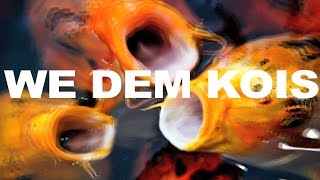 We Dem Kois quotOfficial Music Videoquot Parody of We Dem Boyz [upl. by Oruasi290]