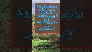 Haroon Rasheed Ne Behlol Dana Sy Pocha islamicquotes allah [upl. by Aschim958]