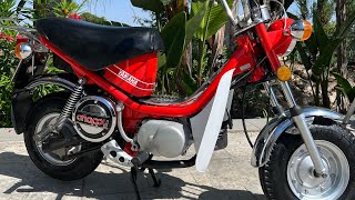 Yamaha Chappy LB50 1981 restored by Ans in Cyprus ansdrifter [upl. by Eylatan]