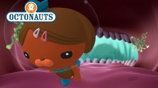 Octonauts The Cave with Teeth [upl. by Hach]